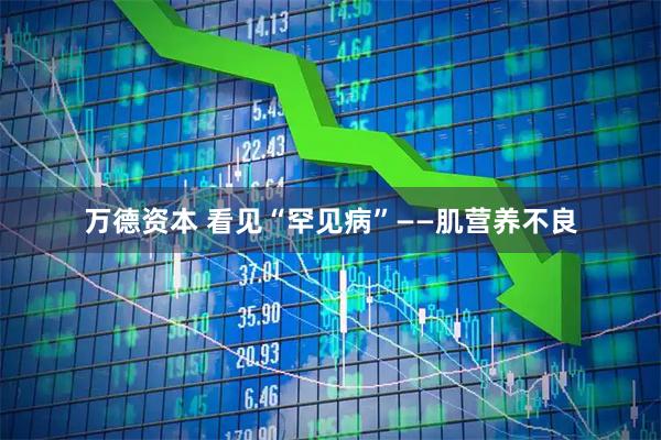 万德资本 看见“罕见病”——肌营养不良