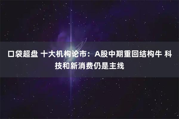 口袋超盘 十大机构论市：A股中期重回结构牛 科技和新消费仍是主线