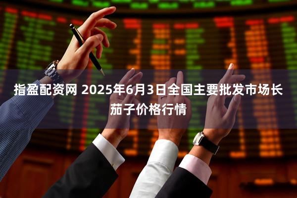 指盈配资网 2025年6月3日全国主要批发市场长茄子价格行情