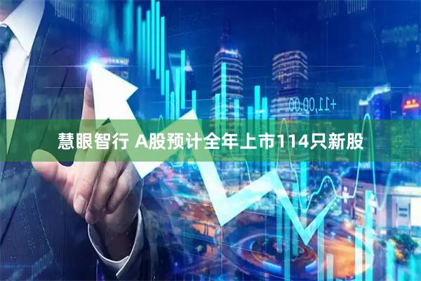 慧眼智行 A股预计全年上市114只新股