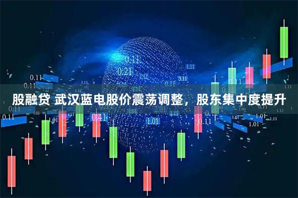 股融贷 武汉蓝电股价震荡调整，股东集中度提升