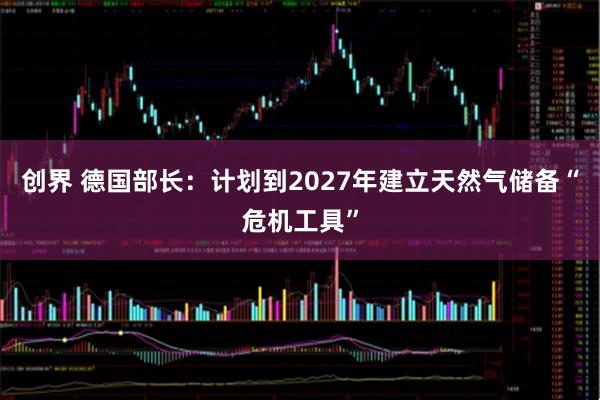 创界 德国部长：计划到2027年建立天然气储备“危机工具”