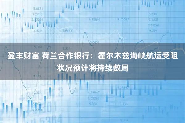 盈丰财富 荷兰合作银行：霍尔木兹海峡航运受阻状况预计将持续数周