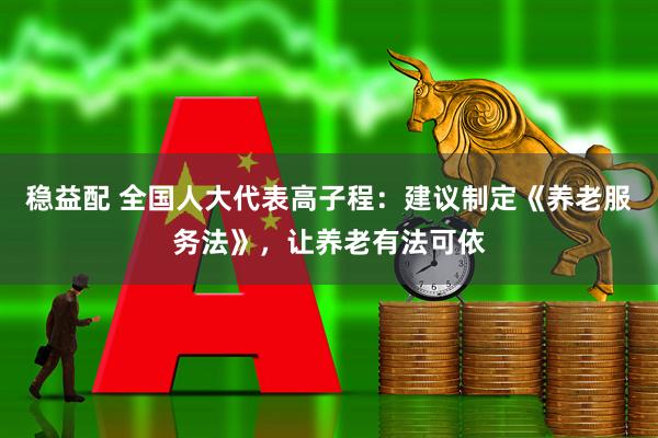 稳益配 全国人大代表高子程：建议制定《养老服务法》，让养老有法可依